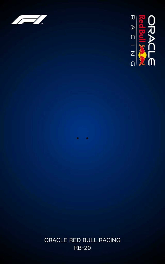 sneakerbricks - hypebrickz - sneakergifts